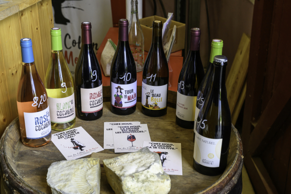 Rénové, le petit chais du domaine de Mirabeau propose différents produits - © C. Ruiz 