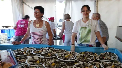 Fête de l'huître - Mèze