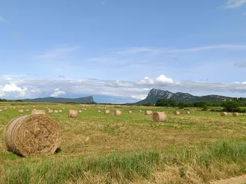 Enquete agricole Grand Pic Saint Loup - Credit Aurelie Bouys