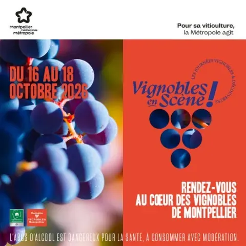 Vignobles en scène 3M