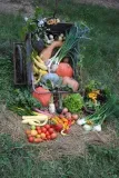 Les produits Les produits