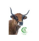 Ferme coste belle Ferme coste belle
