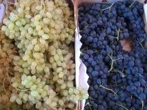 marché_pinet marché_pinet