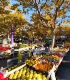 Marché Ile de Thau 1