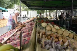 Marché des Beaux-Arts