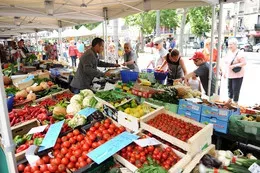 Marché Plan Cabanes