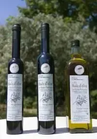 Oliveraie Petit Saint Jean