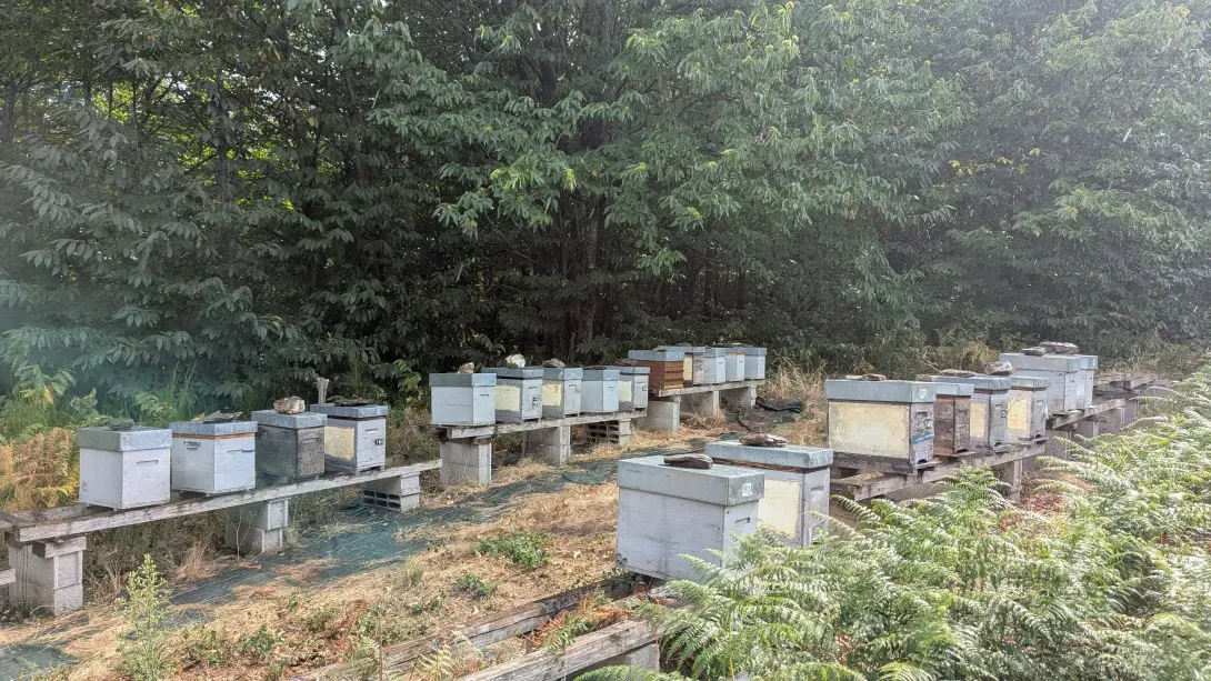 Rucher Saint Etienne Vallée Française 