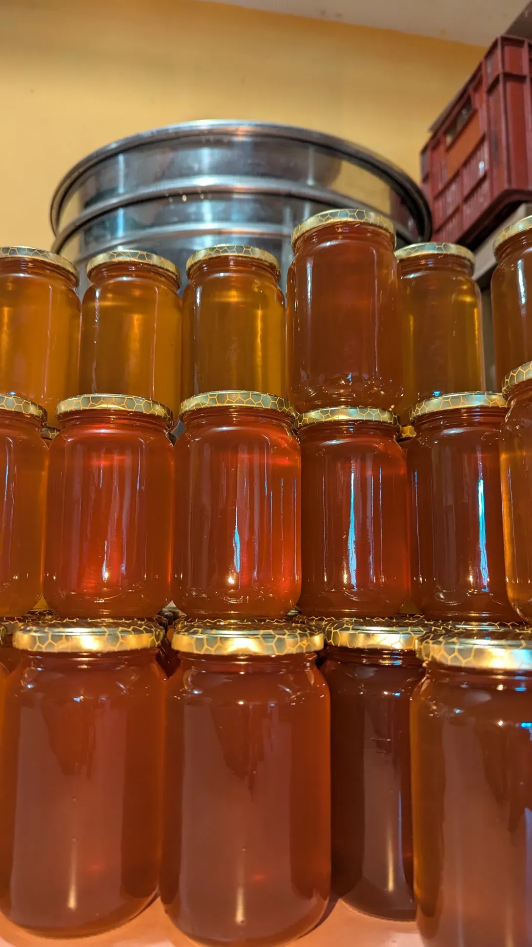 Miel de garrigue 2025 !