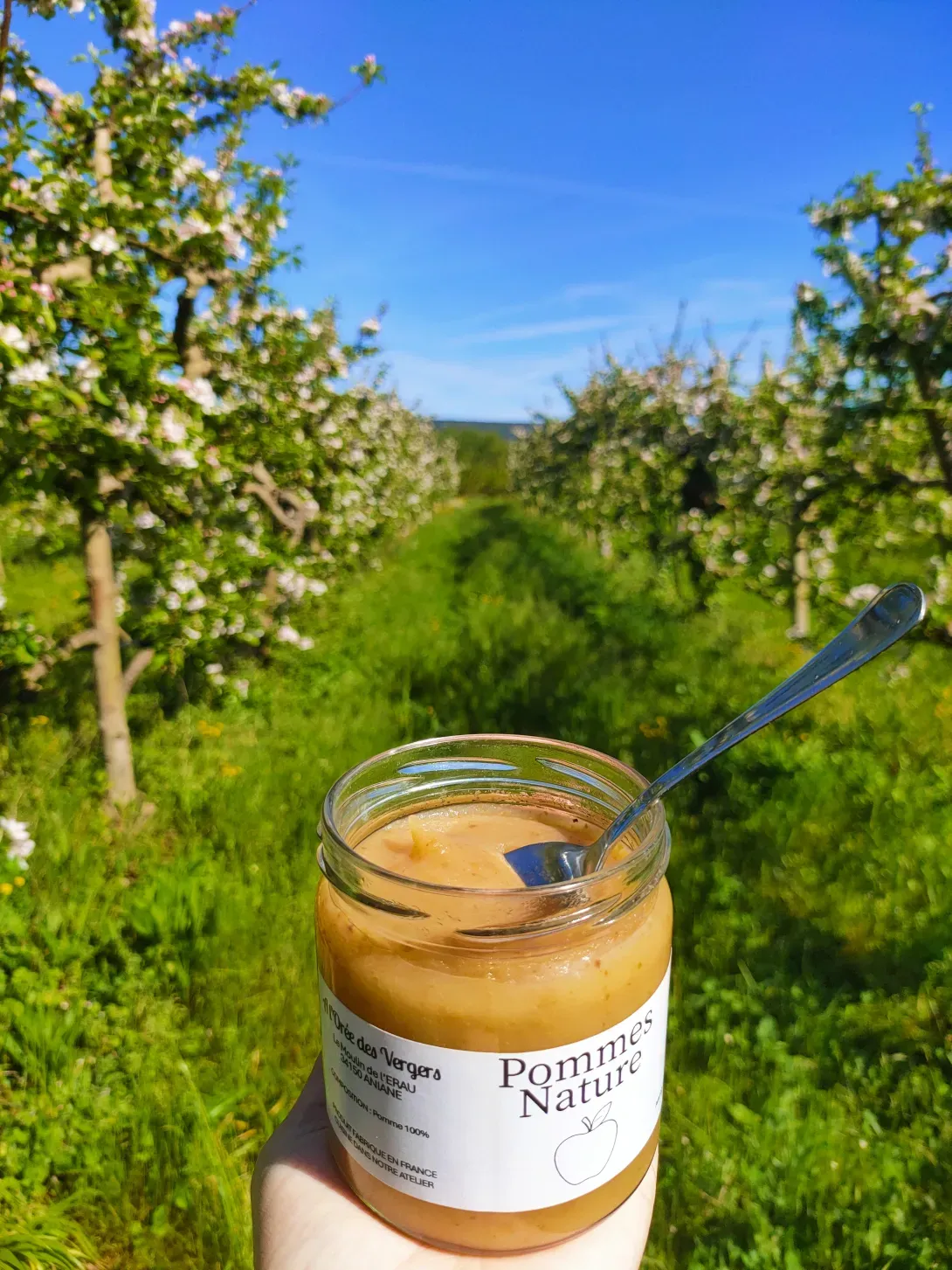 Compote sans sucres ajoutés