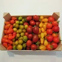 Potager Montagnac 2